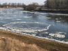 Eisige Elbe bei Coswig/Anhalt (1)